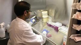 干细胞研究 & 转化医学实验室学生